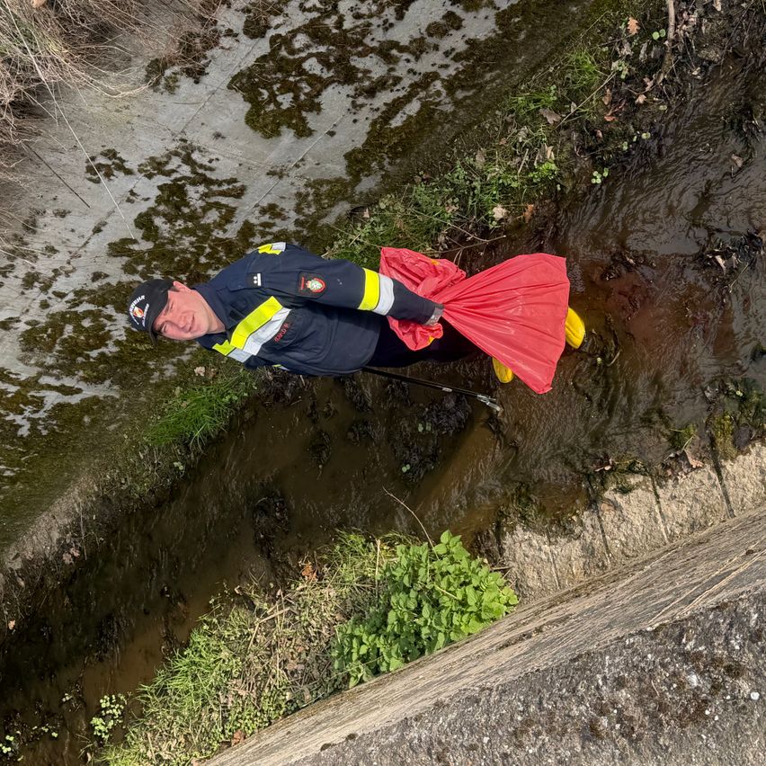 Ein Beamter in Uniform steht in einem Wasserlauf und hält eine rote Tasche. Das Wasser ist trüb, und das Ufer ist mit Moos und Pflanzen gesäumt.