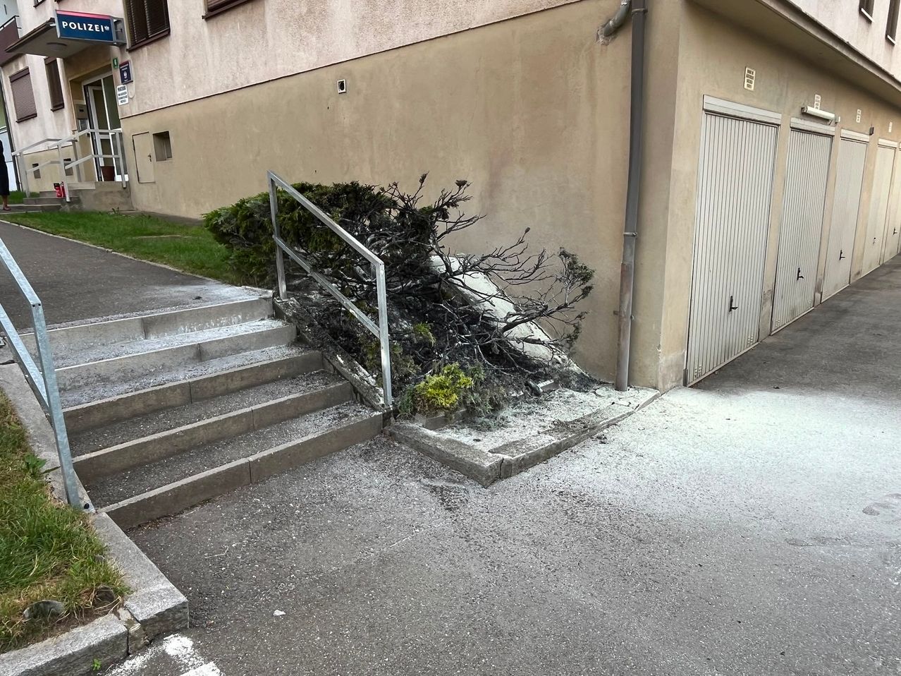 Ein Gebäude mit einer Betontreppe, die zu einem Garageneingang führt. Ein Haufen Äste und Pflanzen blockiert die Treppe.