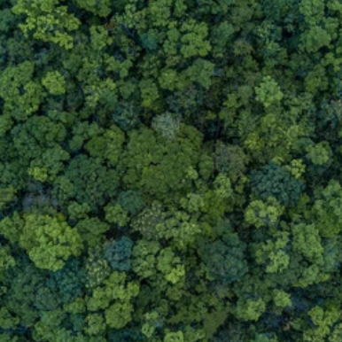 v1_migrated_image_50672720