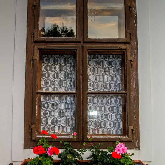Bild enthält, Flower, Geranium, Plant, Flower Arrangement, Window, Door, Flower Bouquet