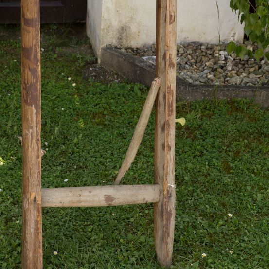 Bild enthält, Grass, Plant, Wood, Lawn, Tree, Tree Trunk, Outdoors