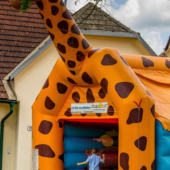 Bild enthält, Inflatable, Boy, Child, Male, Person, Outdoors, Play Area, Animal, Dinosaur, Reptile