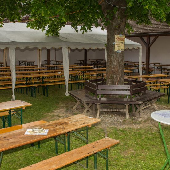 Ein großer Außenbereich mit Holzbänken und Tischen, die um einen Baum herum angeordnet sind. Im Hintergrund befinden sich Zelte und ein Gebäude.