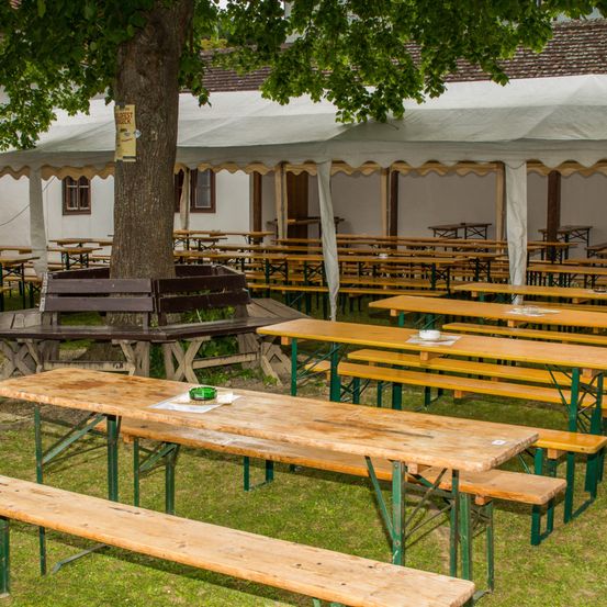 Ein großer Außenbereich zum Essen mit Holzbänken und Tischen unter einem weißen Zelt. Der Bereich ist von einem Baum mit einem gelben Schild umgeben.