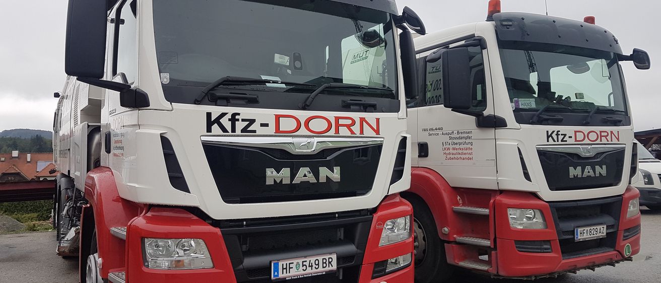 Bild enthält, Bumper, Transportation, Vehicle, Truck, Machine, Wheel, Car