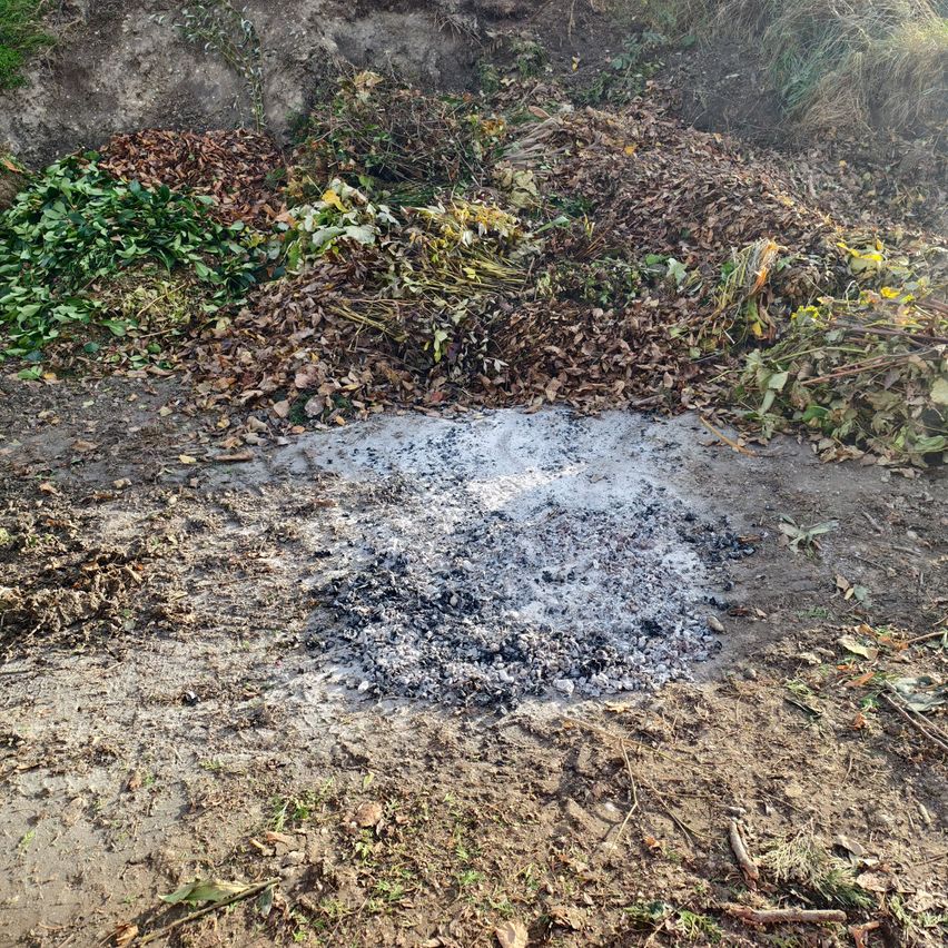 Ein Außenbereich zeigt eine kreisförmige Aschefläche, umgeben von einer Mischung aus trockenen Blättern und kleinen Ästen. Der Boden ist mit Erde und kleinen Pflanzen bedeckt.