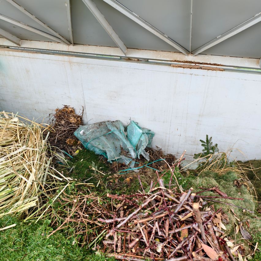 Ein Haufen trockenes Stroh, Zweige und Blätter befindet sich neben einer weißen Wand. Ein blauer Plastikbeutel liegt auf dem Boden. Der Bereich scheint ein Garten zu sein.