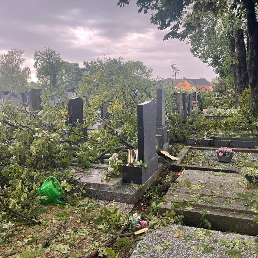 Ein Friedhof mit Grabsteinen und Grabplatten, von denen einige durch umgestürzte Äste und Blätter beschädigt sind. Ein grüner Gießkanister liegt neben einem Grabstein auf dem Boden.