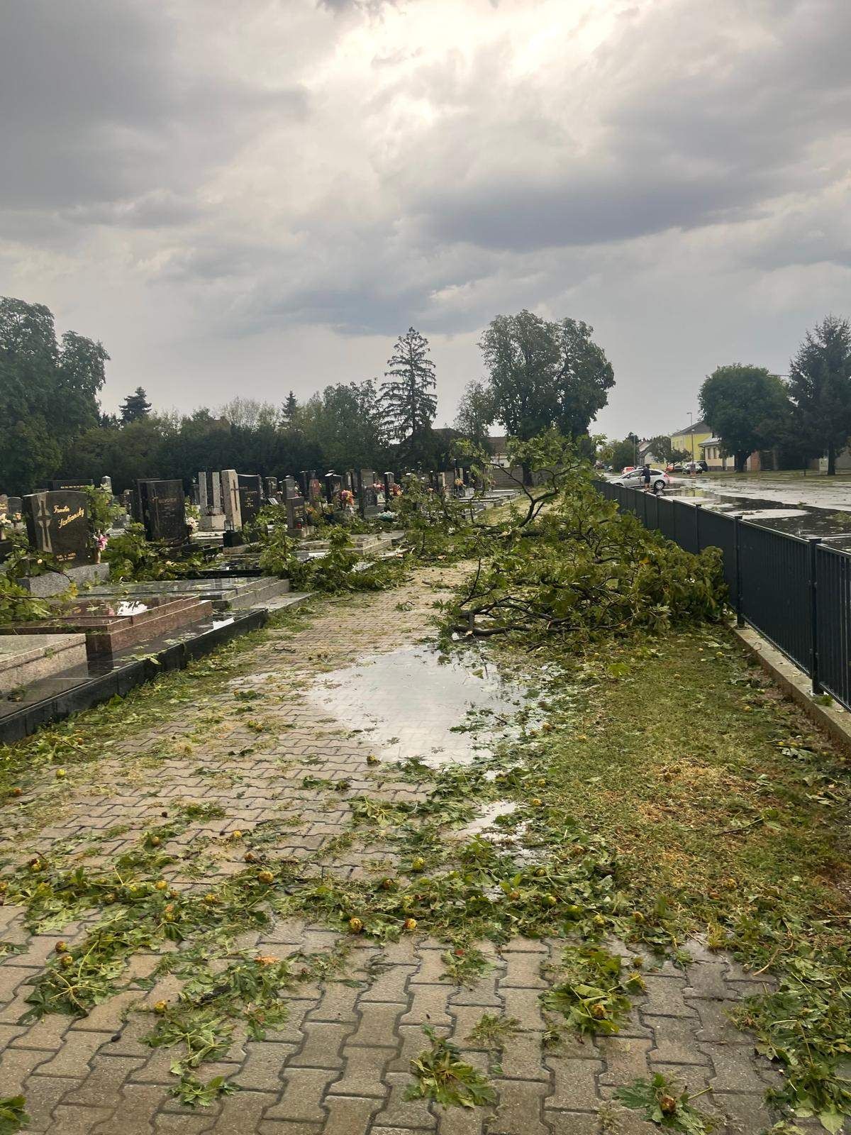 Ein Friedhof mit umgestürzten Bäumen und Schutt auf dem Boden, einem nassen Weg und einem schwarzen Zaun.