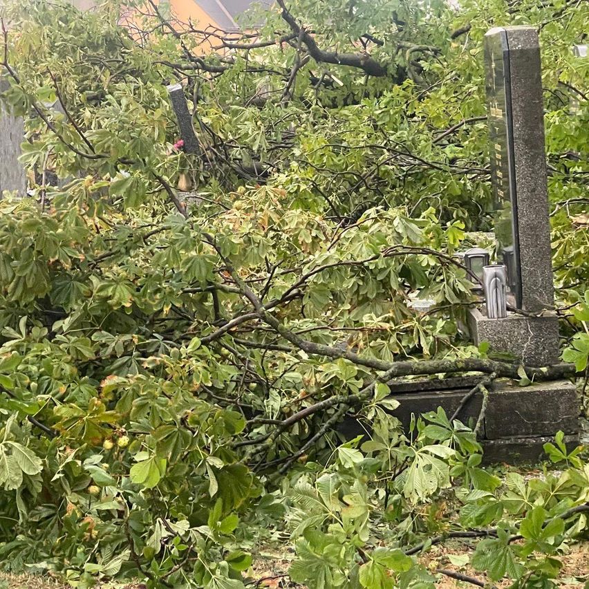 Ein Friedhof mit umgestürzten Bäumen und Ästen, die Grabsteine und den Boden bedecken, was auf schwere Sturmschäden hinweist.