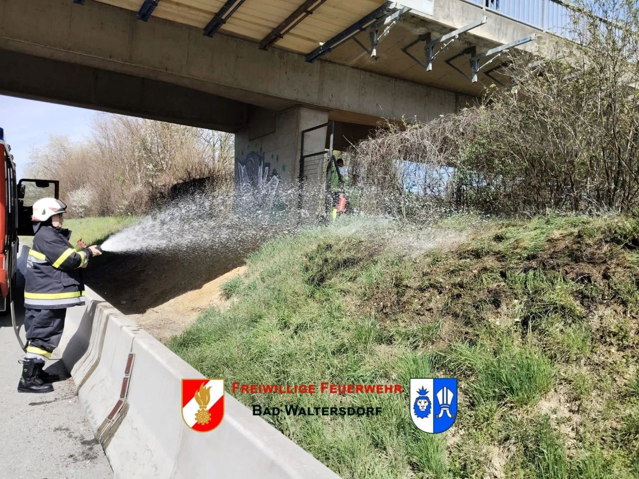 A firefighter from Bad Waltersdorf is spraying water under a bridge. The area is covered with grass and plants.