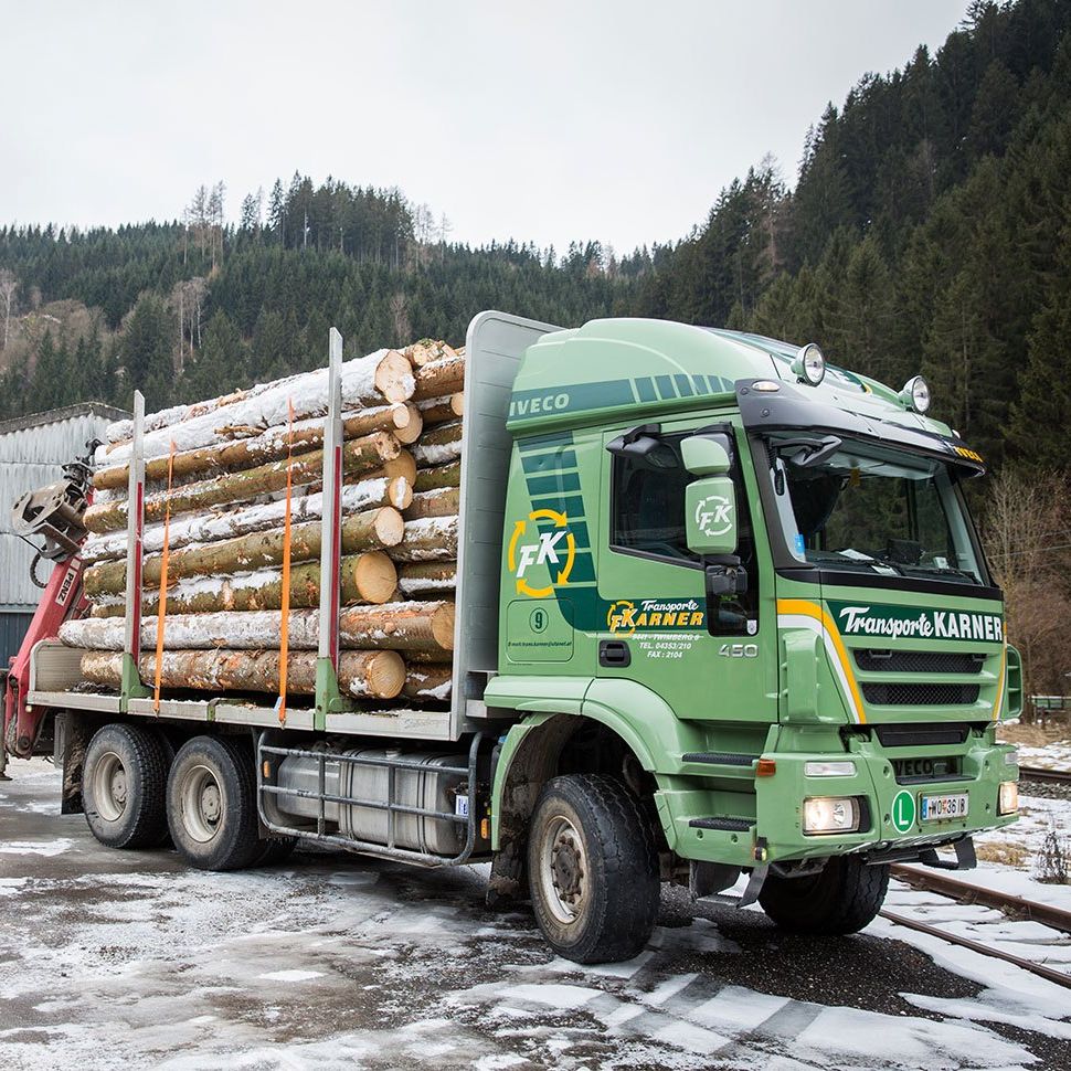 Ein grüner LKW mit einem Kran belädt Baumstämme in einem verschneiten Gebiet mit einem bewaldeten Berg im Hintergrund.