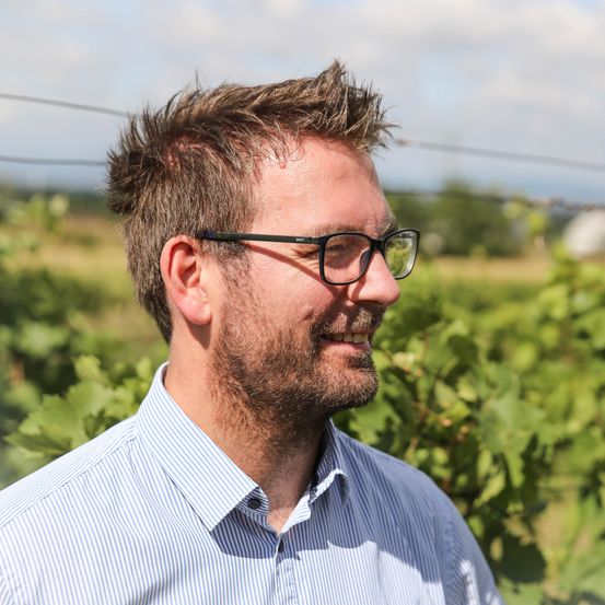 Bild von DI (FH) Thomas Menitz