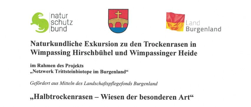 Naturkundliche Exkursion zu den Trockenrasen in Wimpassing Hirschbühel und Wimpassinger Heide. Der Treffpunkt ist im Gemeindeamt Wimpassing. Die Exkursion wird von Dr. Klaus Michalek geleitet.