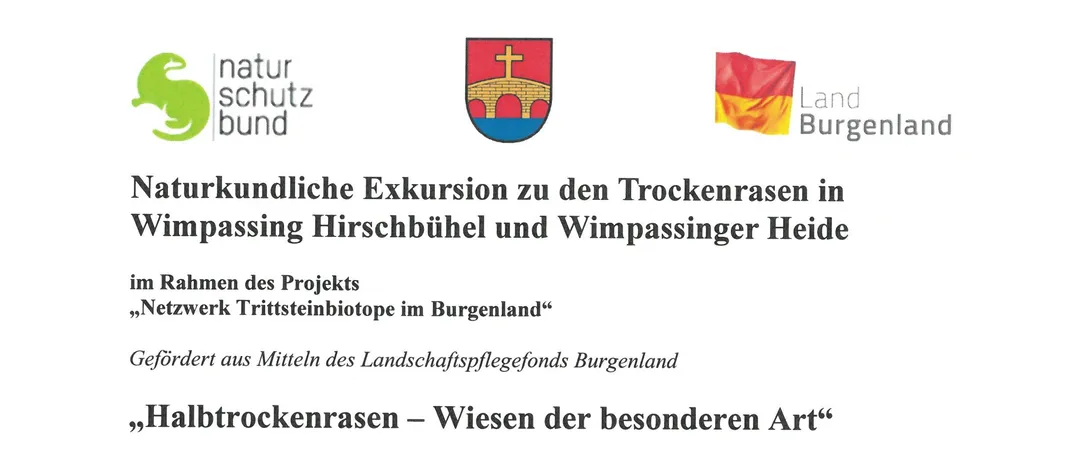 Naturkundliche Exkursion zu den Trockenrasen in Wimpassing Hirschbühel und Wimpassinger Heide. Der Treffpunkt ist im Gemeindeamt Wimpassing. Die Exkursion wird von Dr. Klaus Michalek geleitet.