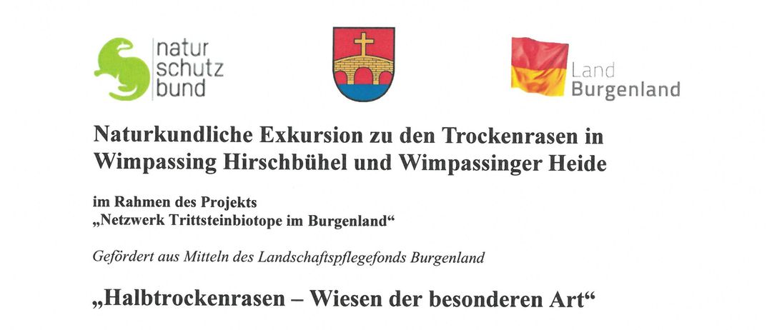 Naturkundliche Exkursion zu den Trockenrasen in Wimpassing Hirschbühel und Wimpassinger Heide. Der Treffpunkt ist im Gemeindeamt Wimpassing. Die Exkursion wird von Dr. Klaus Michalek geleitet.