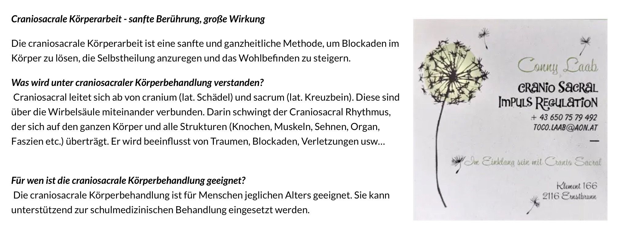 Das Bild beschreibt eine Methode zur Linderung von Blockaden und zur Verbesserung des Wohlbefindens. Es konzentriert sich auf den craniosacralen Rhythmus, der Strukturen wie Knochen, Muskeln, Nerven, Organe und mehr beeinflusst. Geeignet für alle Altersgruppen, kann es in verschiedenen Umgebungen eingesetzt werden.