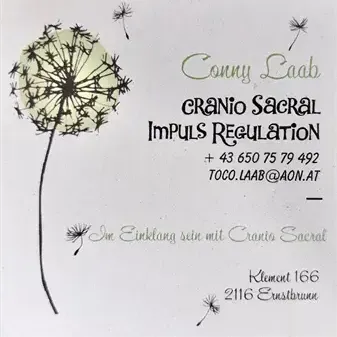 Eine weiße Karte mit einer Illustration einer Pusteblume, die den Text 'Connie Laab Cranio Sacral Impuls Regulation' und Kontaktdaten enthält. Die Karte beinhaltet eine Telefonnummer, E-Mail und Adresse, mit der Adresse 'Klement 166, 2116 Ernstbrunn'.