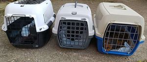 Drei Haustiertransportboxen auf einem Schotterboden neben einem Holzzaun. Eine ist offen und ein Hund ist drinnen.