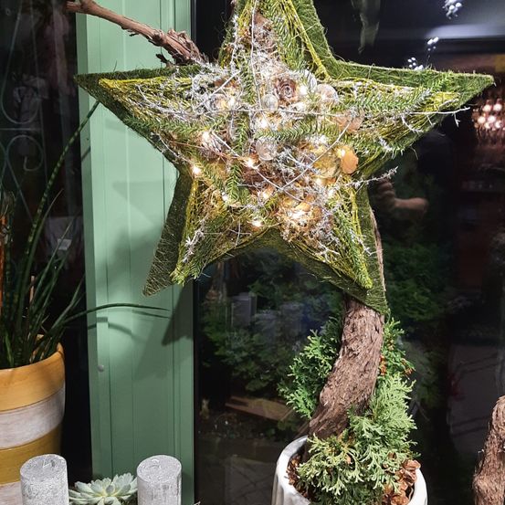 Eine sternförmige Weihnachtsdekoration mit Lichtern und Ornamenten hängt von einem Ast in einem Raum mit Pflanzen ab.