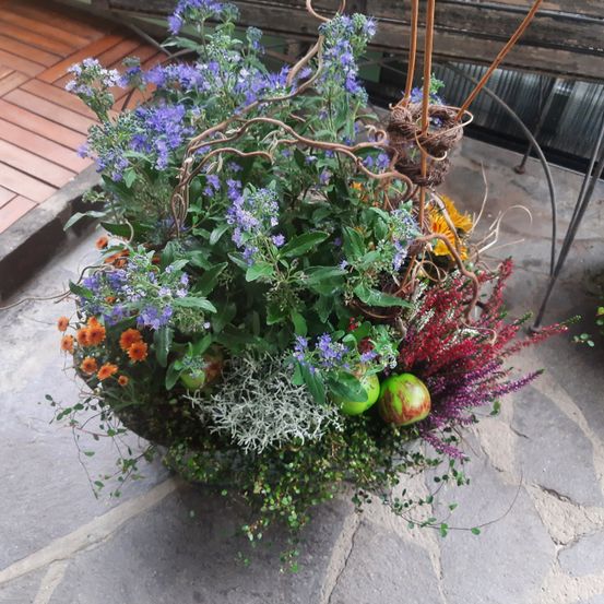 Eine farbenfrohe Blumenarrangement mit lila, orange und roten Blumen, grünen Blättern und zwei Äpfeln auf einem Steinboden, in der Nähe einer Holzbank.