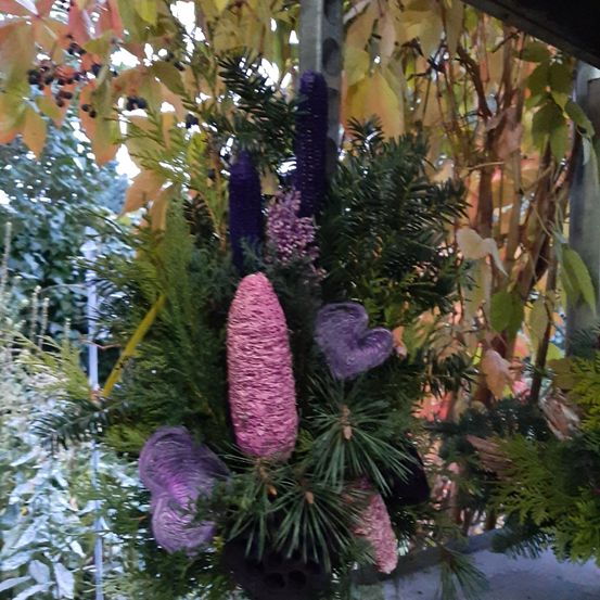 Ein Blumenarrangement mit violetten und rosa Blütenzapfen und Blättern hängt in einem Garten.