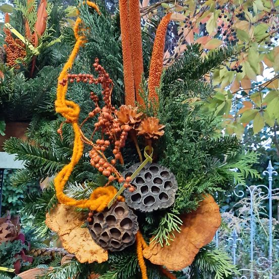 Ein Kranz aus immergrünen Blättern, getrockneten Früchten und Holzzapfen hängt an einem Ast. Er hat ein dekoratives orangefarbenes Band und zwei große braune Samen.