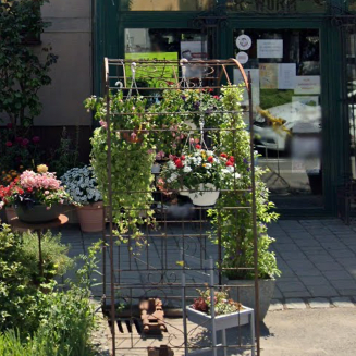 v1_migrated_image_96118603