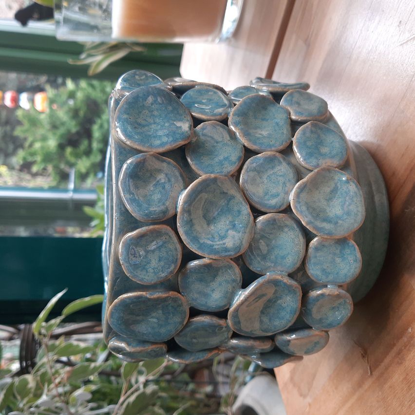 Bild enthält, Pottery, Jar, Wood, Cookware, Pot, Plant, Potted Plant, Planter, Vase