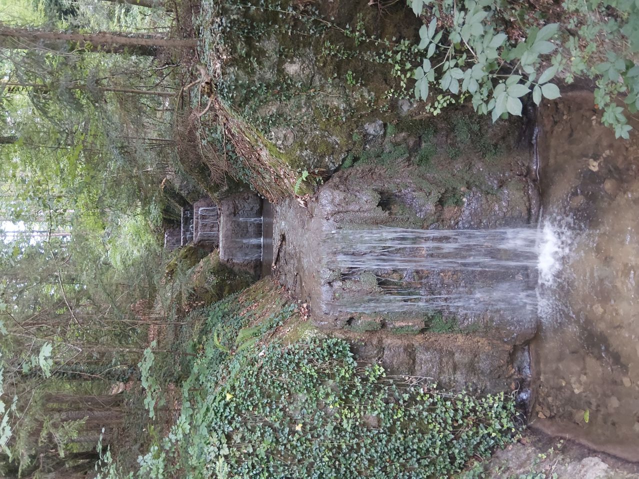 Ein Wasserfall stürzt in einem dichten Wald über eine moosbedeckte Felswand. Das Wasser fließt über Steine und in einen kleinen Pool darunter.