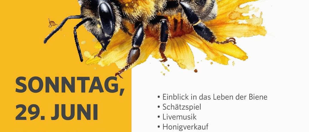 Plakat für Bienenstocks mit einer Biene auf einer Blume, mit Details über eine Sonntagsveranstaltung am 29. Juni. Beinhaltet Heilige Messe um 8:30 Uhr und eine Zusammenkunft danach um 9:30 Uhr. Features Honigverkostung, Kinderaktivitäten und eine Erklärung des Bienenlebens.