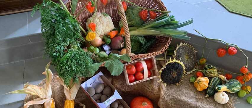 Ein Tisch voller frischer Produkte: Tomaten, Mais, Kartoffeln, Äpfel und Nüsse, arrangiert mit Jute.