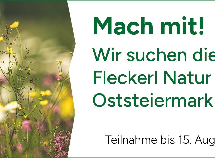 Ein Werbeplakat mit Blumenhintergrund, das den Text 'Mach mit!' und 'Wir suchen Flecken Natur Oststeiermark' sowie eine Frist 'Teilnahme bis 15. A' enthält.