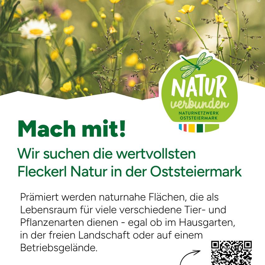 Ein Poster mit grünem Hintergrund und einem Libellenlogo, das Naturschutz in der Oststeiermark fördert. Es betont die Bedeutung natürlicher Lebensräume für verschiedene Tier- und Pflanzenarten.
