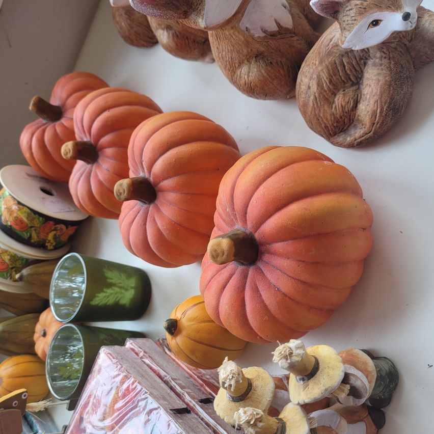 Bild enthält, Food, Fruit, Plant, Produce, Pumpkin, Vegetable, Animal, Bird, Squash