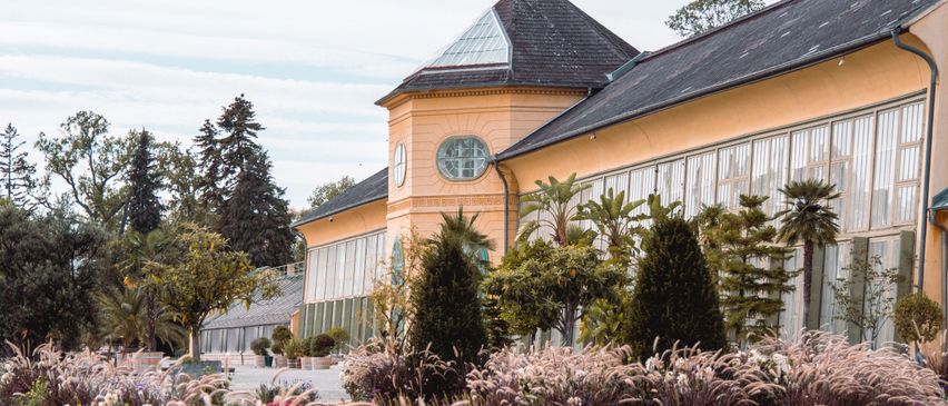 Bild enthält, Fir, Plant, Tree, Clock Tower, Grass, Garden, Nature, Outdoors, Conifer, Flower