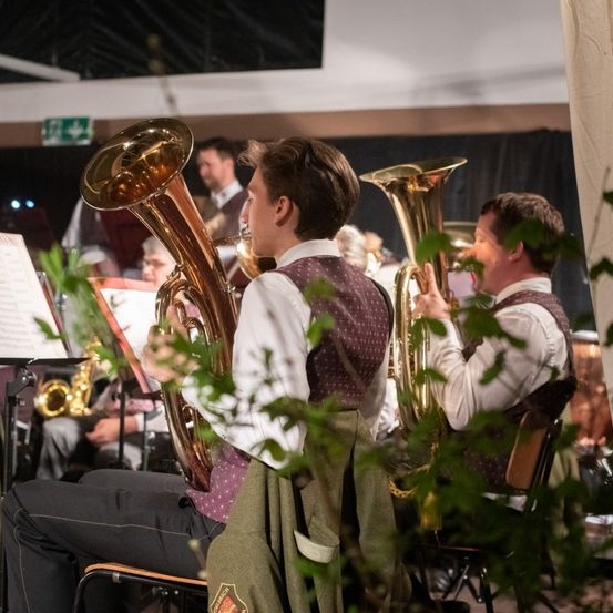 Bild enthält, Group Performance, Music Band, Musical Instrument, Person, Horn, Tuba, Adult, Male, Man, Flugelhorn