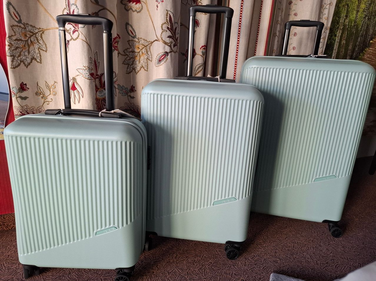 Bild enthält, Baggage, Suitcase