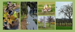 584B865D-1BD1-4CE0-8CCE-F6B0E6BD84BF