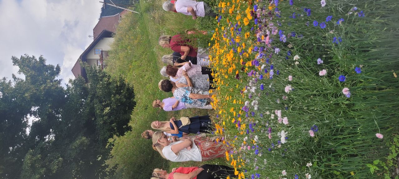 Eine Gruppe von Frauen steht in einem Blumenfeld, einige beugen sich nach unten, um Blumen zu pflücken.
