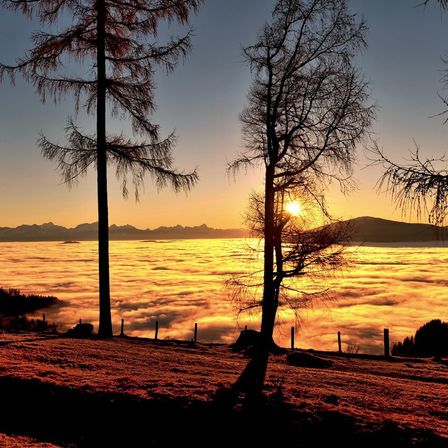 Bild enthält, Nature, Outdoors, Sky, Landscape, Sunrise, Scenery, Sunset, Tree, Sunlight, Sun