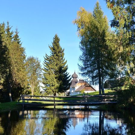Bild enthält, Nature, Outdoors, Scenery, Pond, Tree, Grass, Fir, Landscape, Park, Vegetation