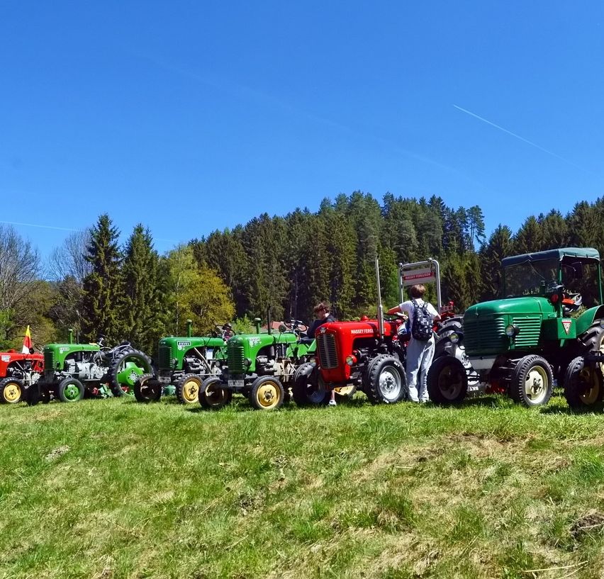 Mehrere Oldtimer-Traktoren sind auf einem Feld unter einem klaren blauen Himmel geparkt. Ein paar Leute stehen um die Traktoren herum.