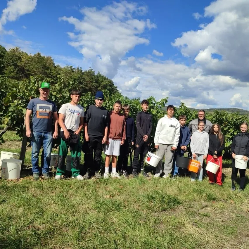 Eine Gruppe von Menschen steht in einem Weinberg und hält weiße Eimer.