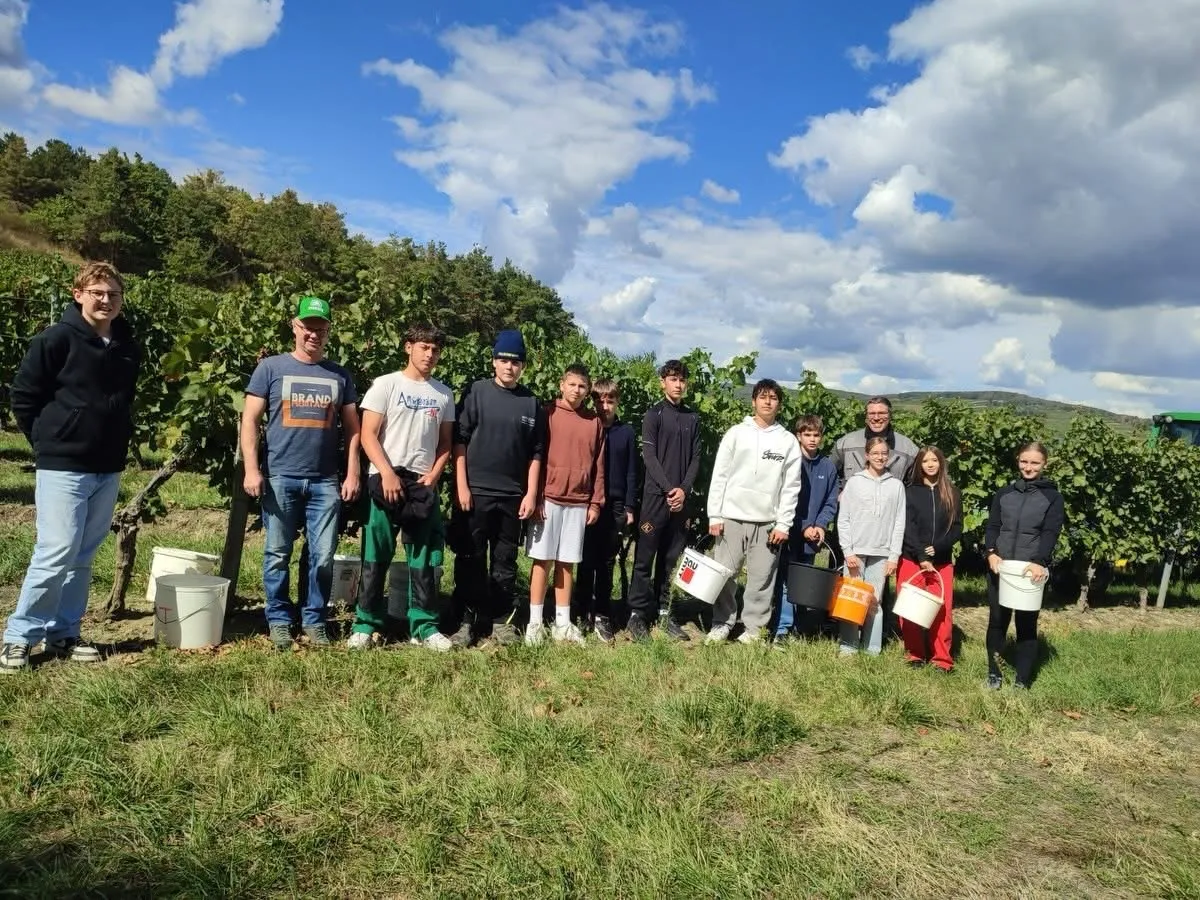 Eine Gruppe von Menschen steht in einem Weinberg und hält weiße Eimer.