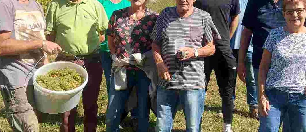 v1_migrated_image_33737502