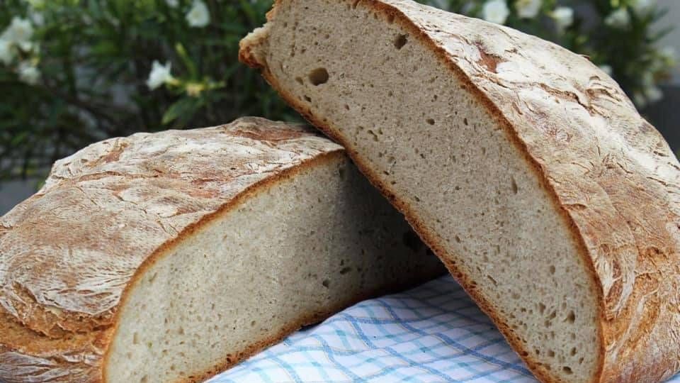 v1_migrated_image_44874094