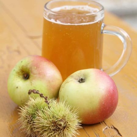 Ein Glas mit bernsteinfarbener Flüssigkeit, möglicherweise Apfelwein, begleitet von zwei Äpfeln und einer stachligen Frucht auf einem Holztisch.