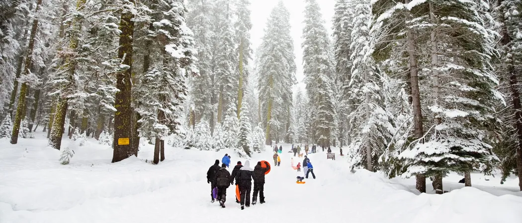 Eine Gruppe von Menschen geht durch einen verschneiten Wald, einige tragen Jacken und Mützen, und andere spielen im Schnee.