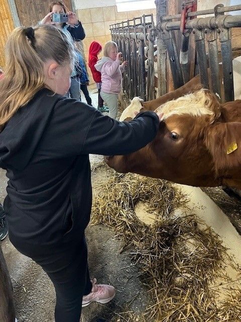 Ein Mädchen in einer schwarzen Kapuzenjacke streichelt eine Kuh in einer Scheune. Hinter ihr sind mehrere Menschen anwesend, darunter ein Kind in einer rosa Jacke.